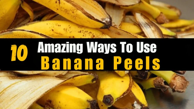 Amazing Ways To Use