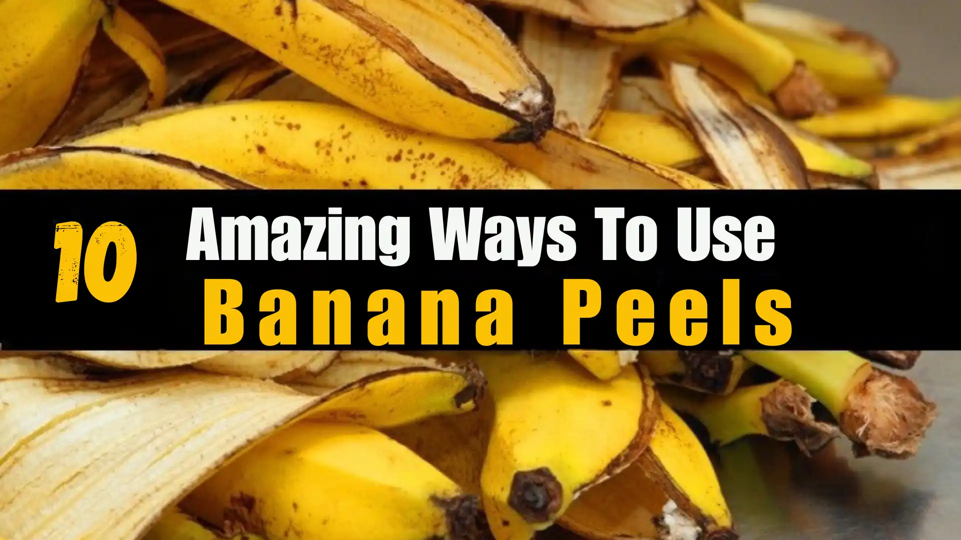 Amazing Ways To Use