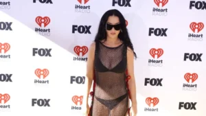 Katy Perry Tried the Naked Dress